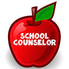 School Counselor